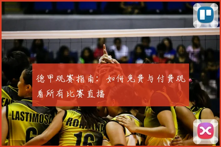 德甲观赛指南：如何免费与付费观看所有比赛直播
