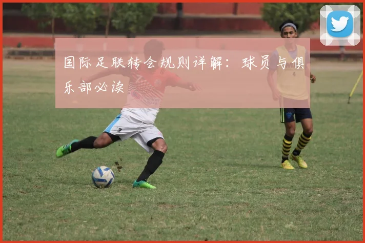 国际足联转会规则详解:球员与俱乐部必读