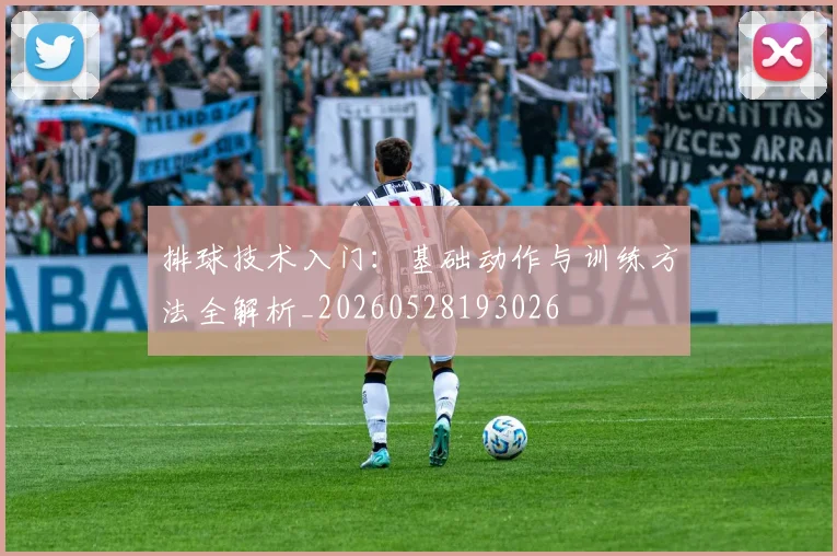 排球技术入门:基础动作与训练方法全解析_20260528193026